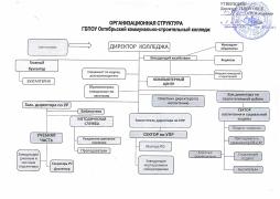 Организационная структура ГБПОУ ОКСК